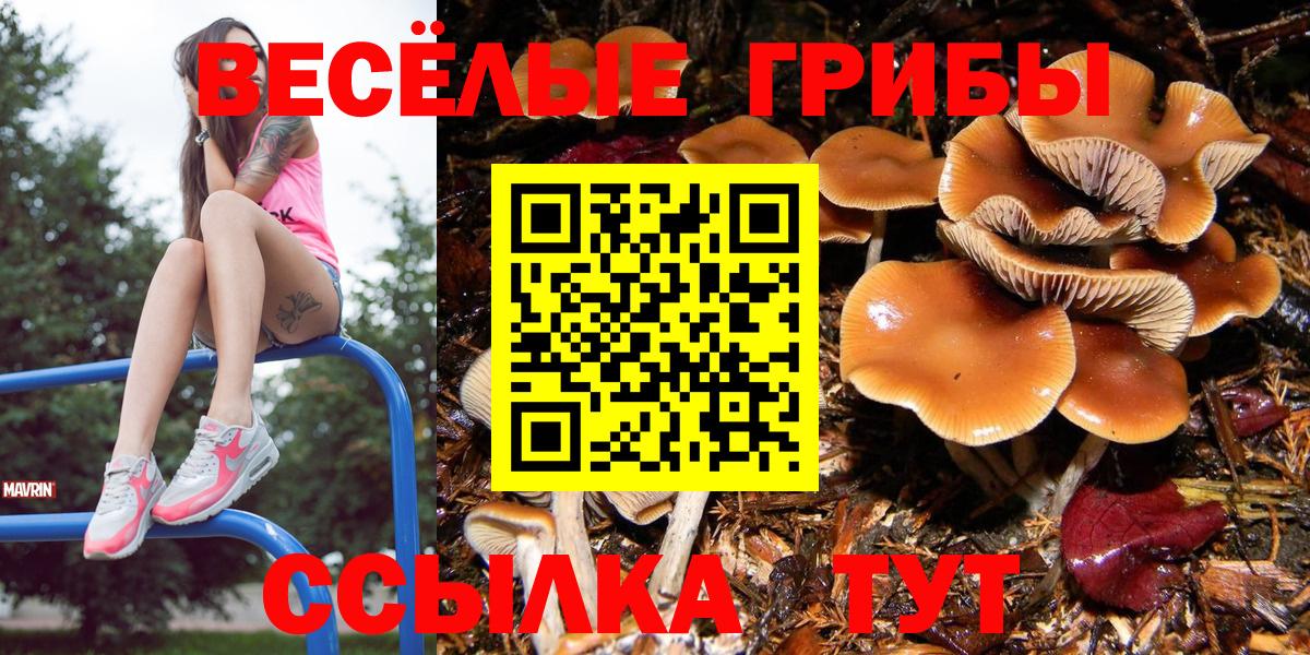 Ижевск  Псилоцибиновые грибы Cubensis  Псилоцибиновые грибы мицелий  закладка  Вход с VPN 