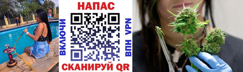 Конопля Bruce Banner Ижевск